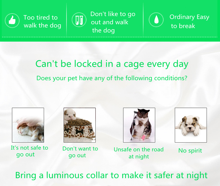 Luminous cat Collar (10)