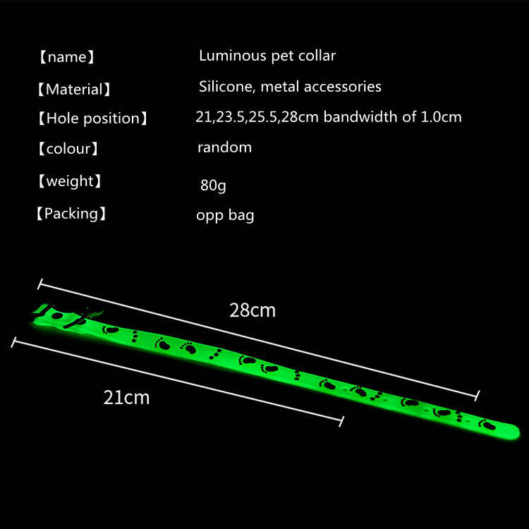 Luminous cat Collar (5)