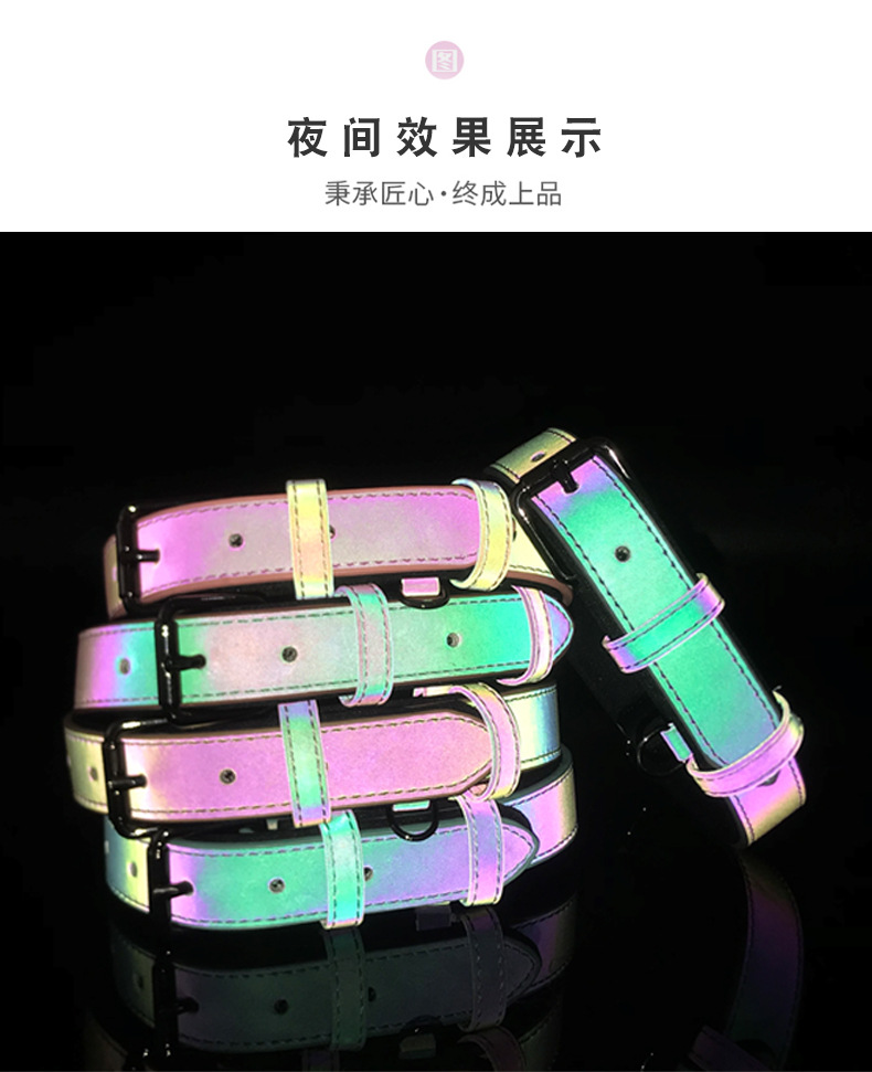 Reflective Dog collar (13)