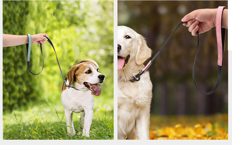 Reflective Dog collar (23)