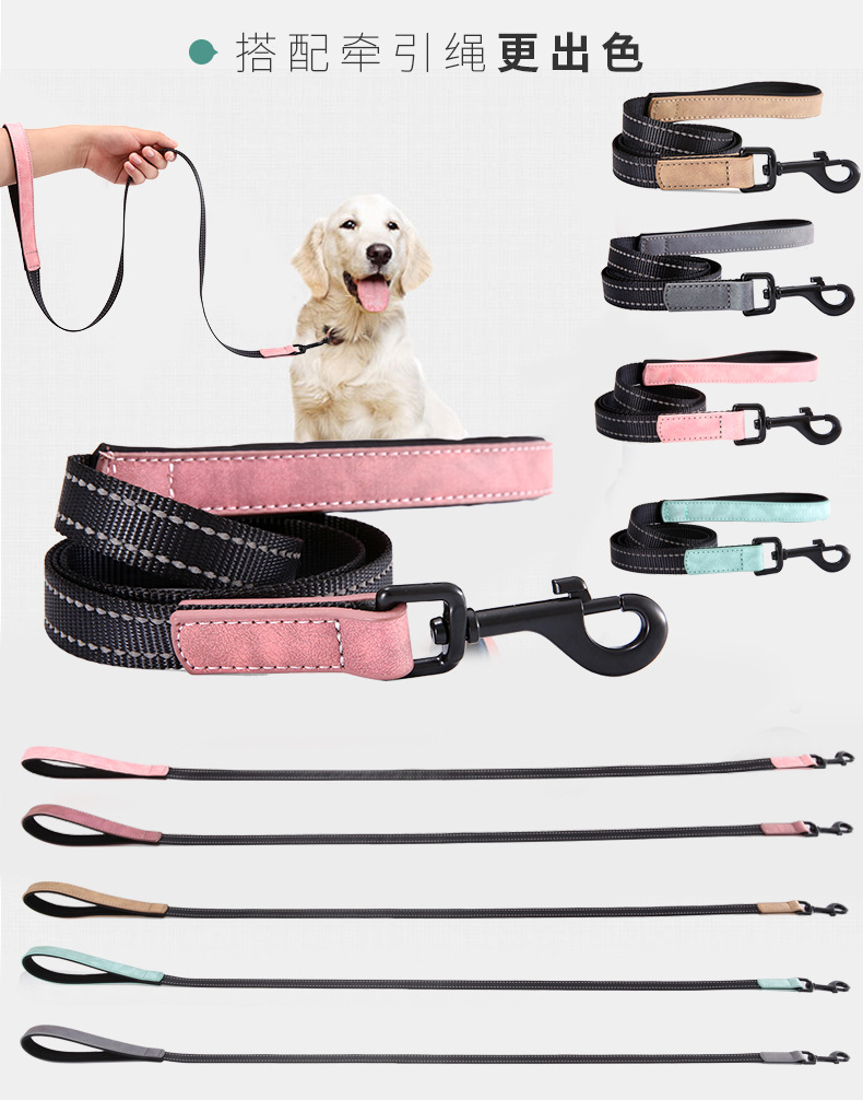 Reflective Dog collar (9)
